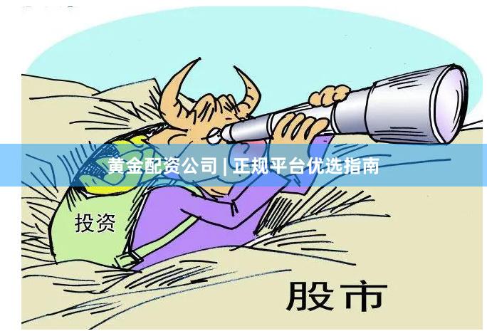 黄金配资公司 | 正规平台优选指南